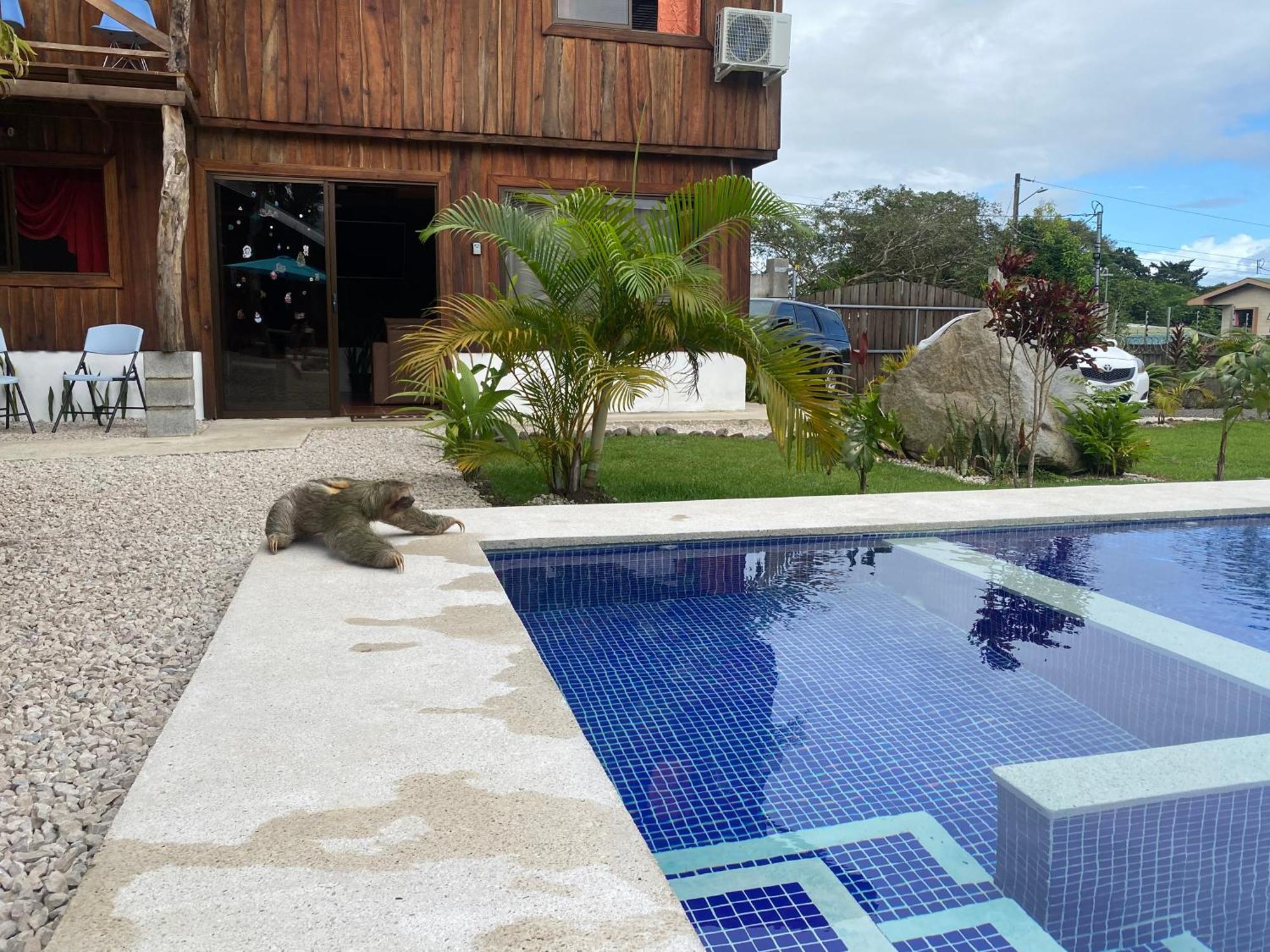 Cabanas Litos #2 La Fortuna Exterior photo